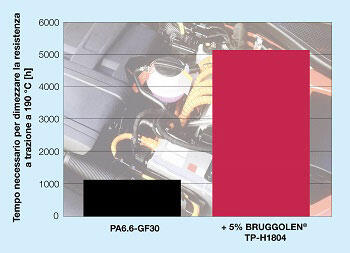 bruggemann-230324-01.jpg