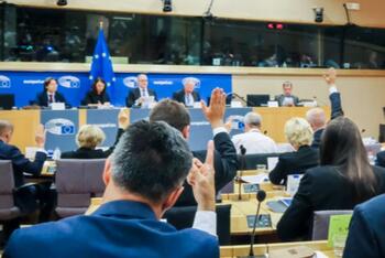 consiglio_europeo_240305_anteprima.jpeg