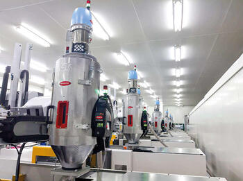 moretto_240301_antperima.jpg