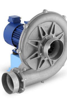 moretto_240510_01.jpg