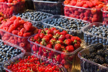 pro_food_240509_02.jpg
