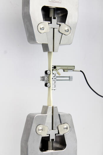 gibitre_250317_02.jpg