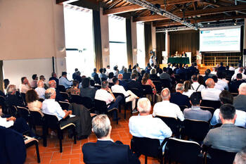 amp_assemblea_250625_anteprima.jpg